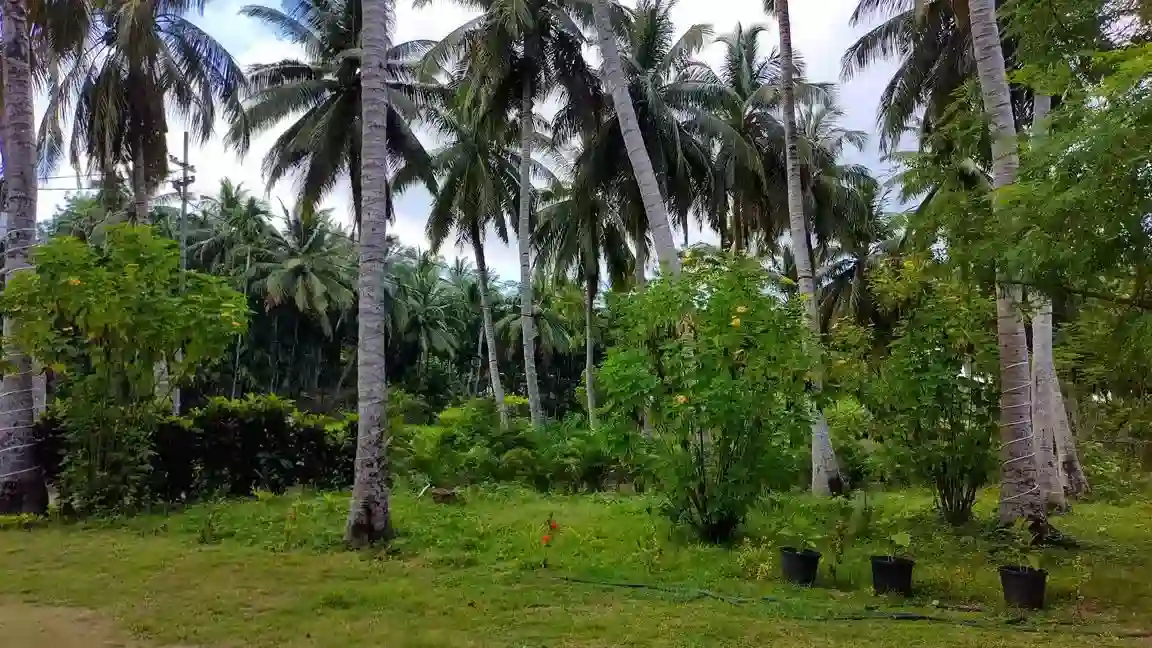 Ross Island
