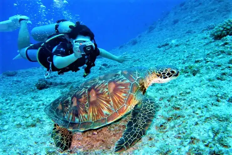 Scubadiving at Neil