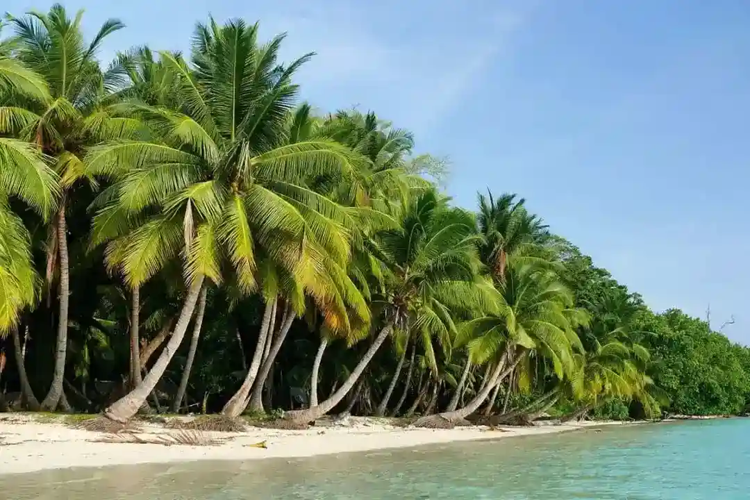 Neil Island
