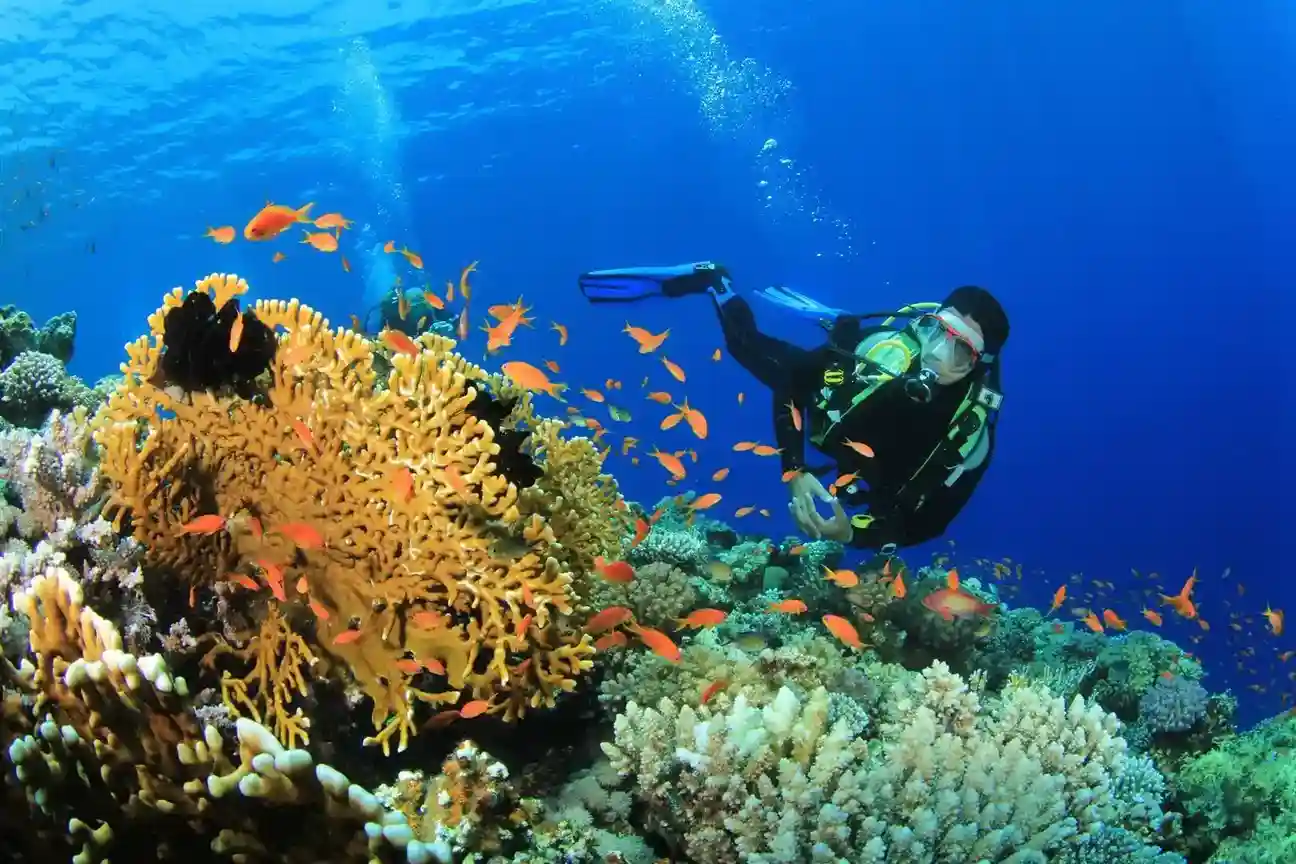 scubadiving in andaman