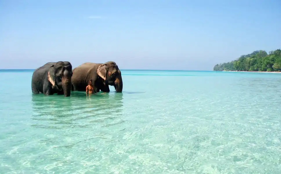 Elephant Beach