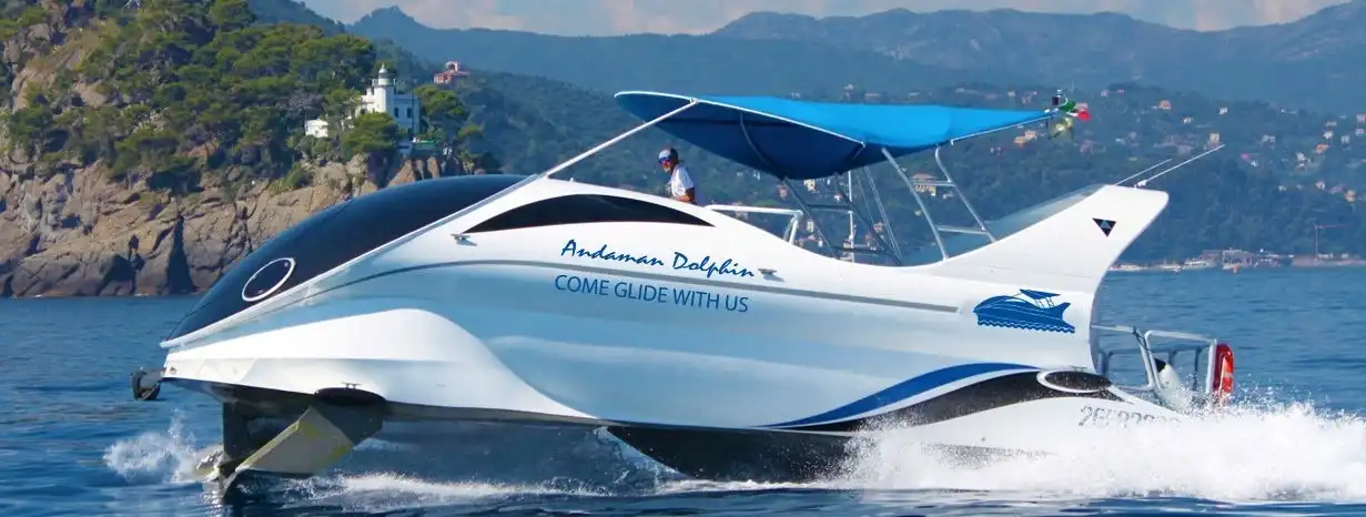 dolphin Tour in Andaman