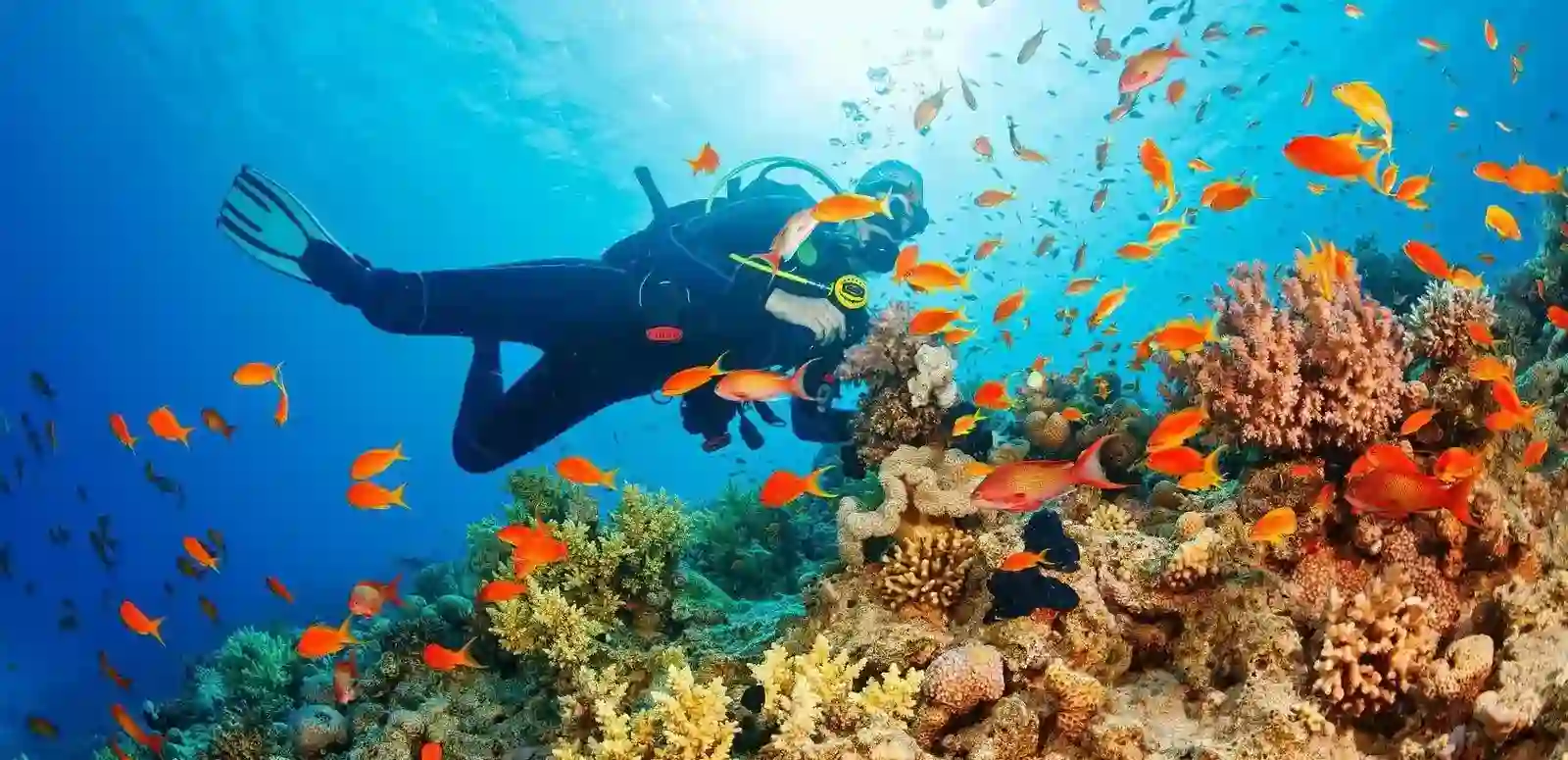 scubadiving in andaman