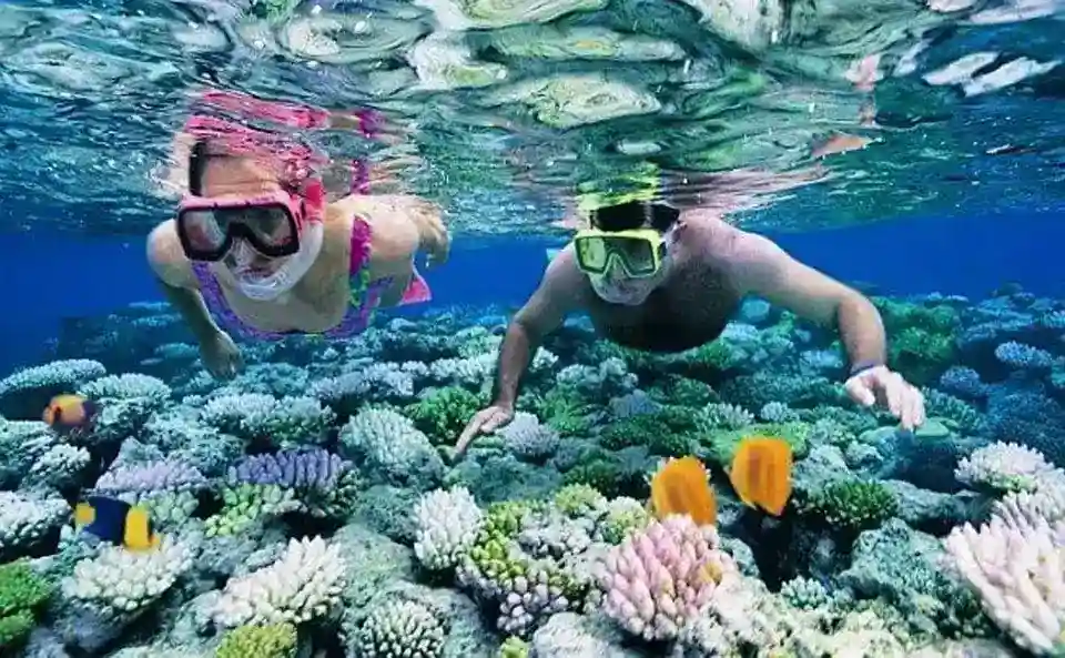Snorkeling