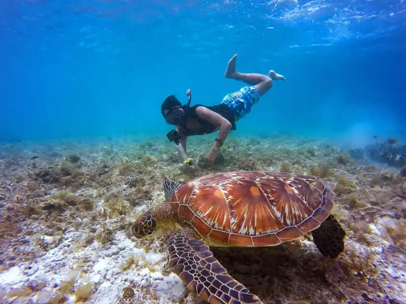 Snorkeling at North Bay