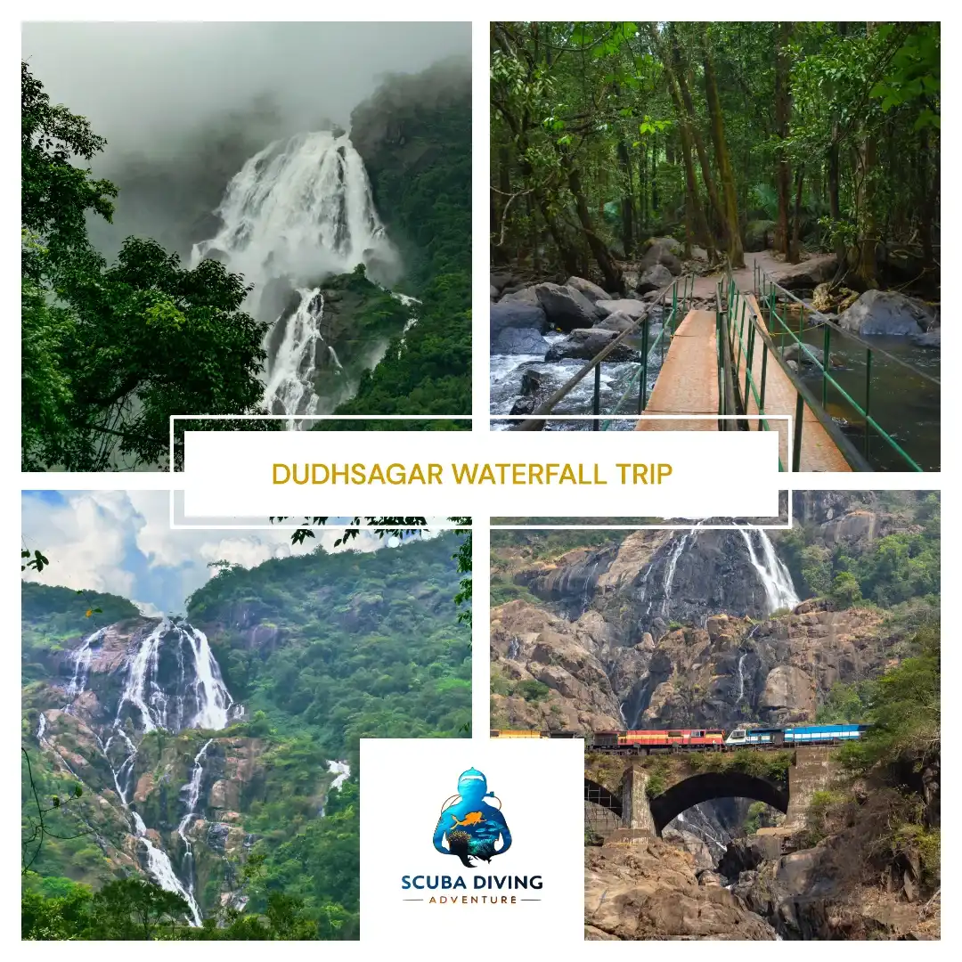 Dudhsagar waterfall Trip
