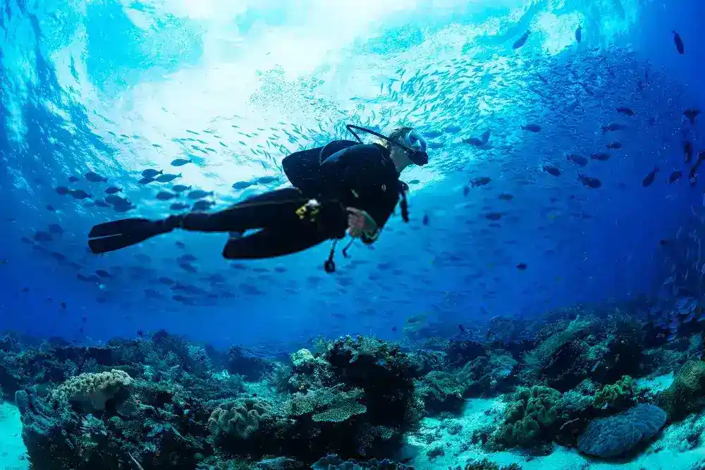 Scuba diving in goa