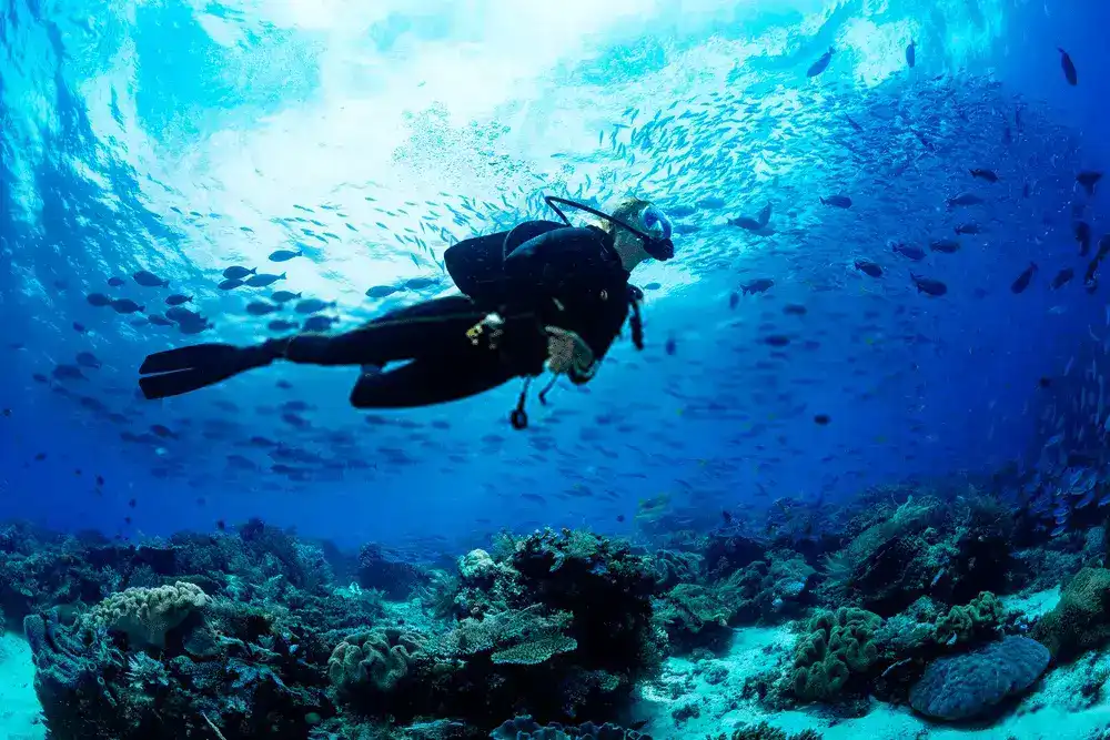 Scubadiving in Andaman
